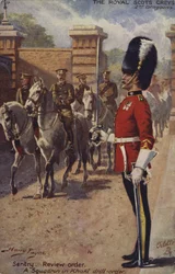 The Royal Scots Greys